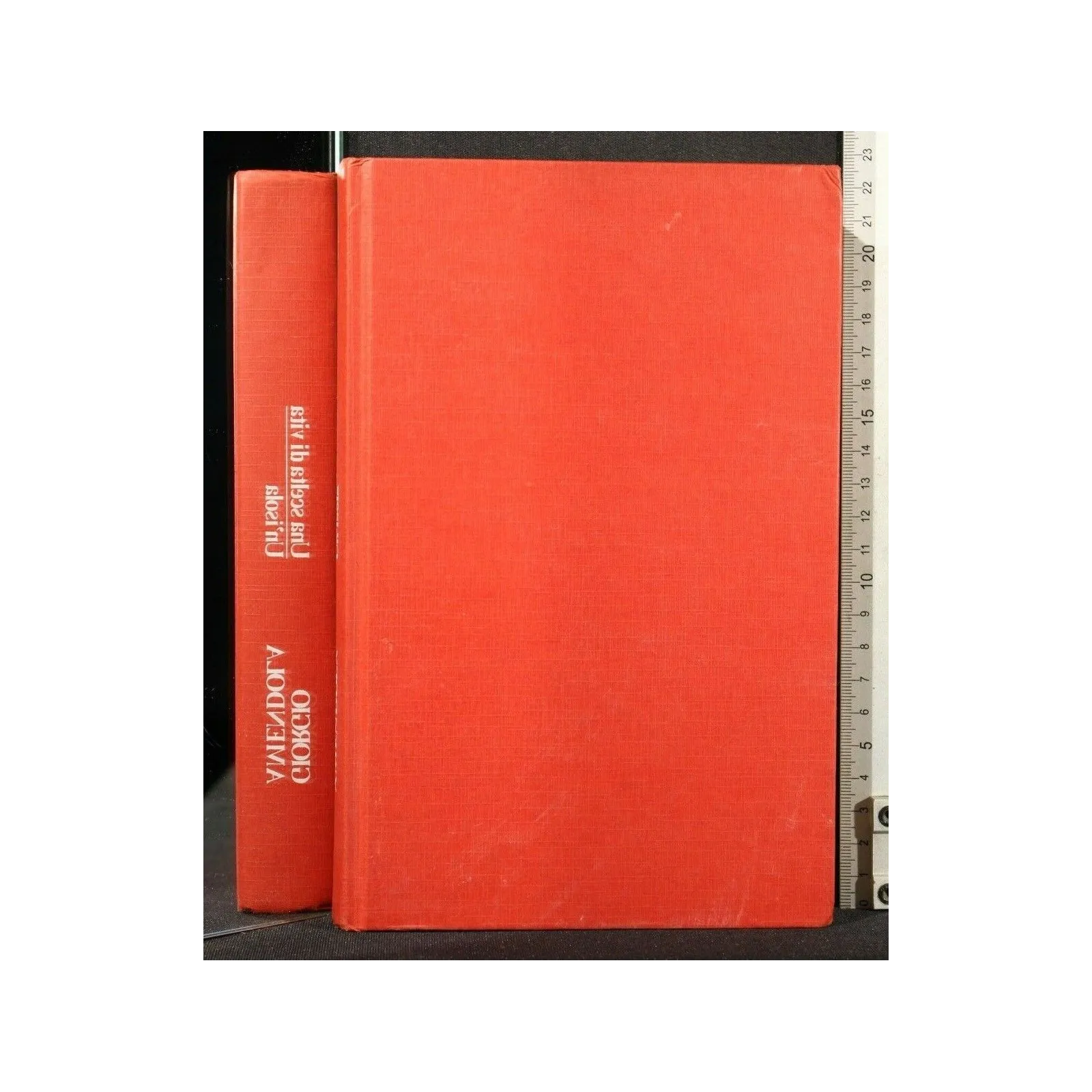 UNA SCELTA DI VITA UN'ISOLA