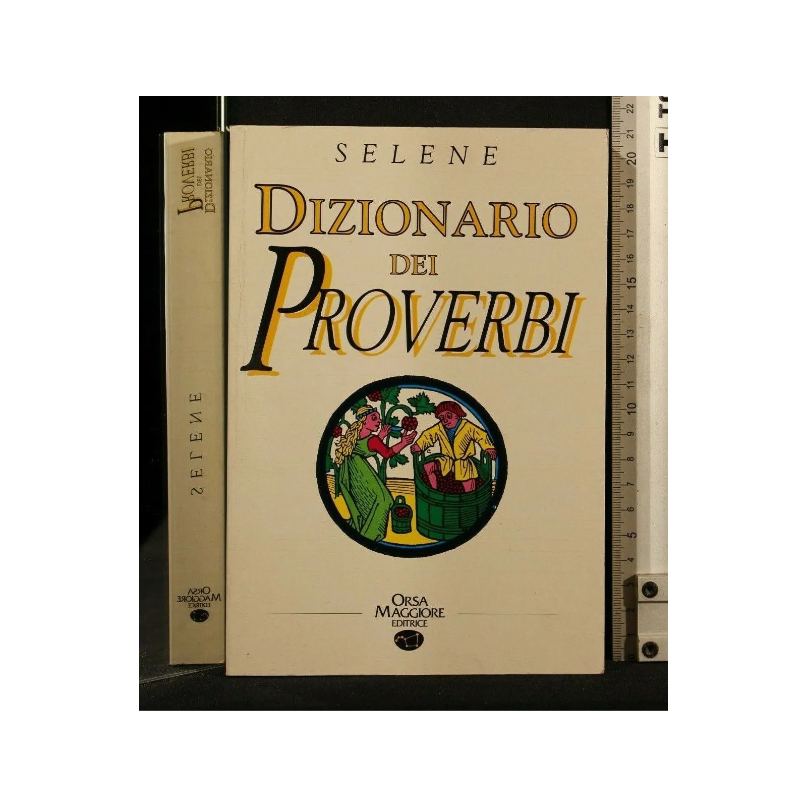 DIZIONARIO DEI PROVERBI