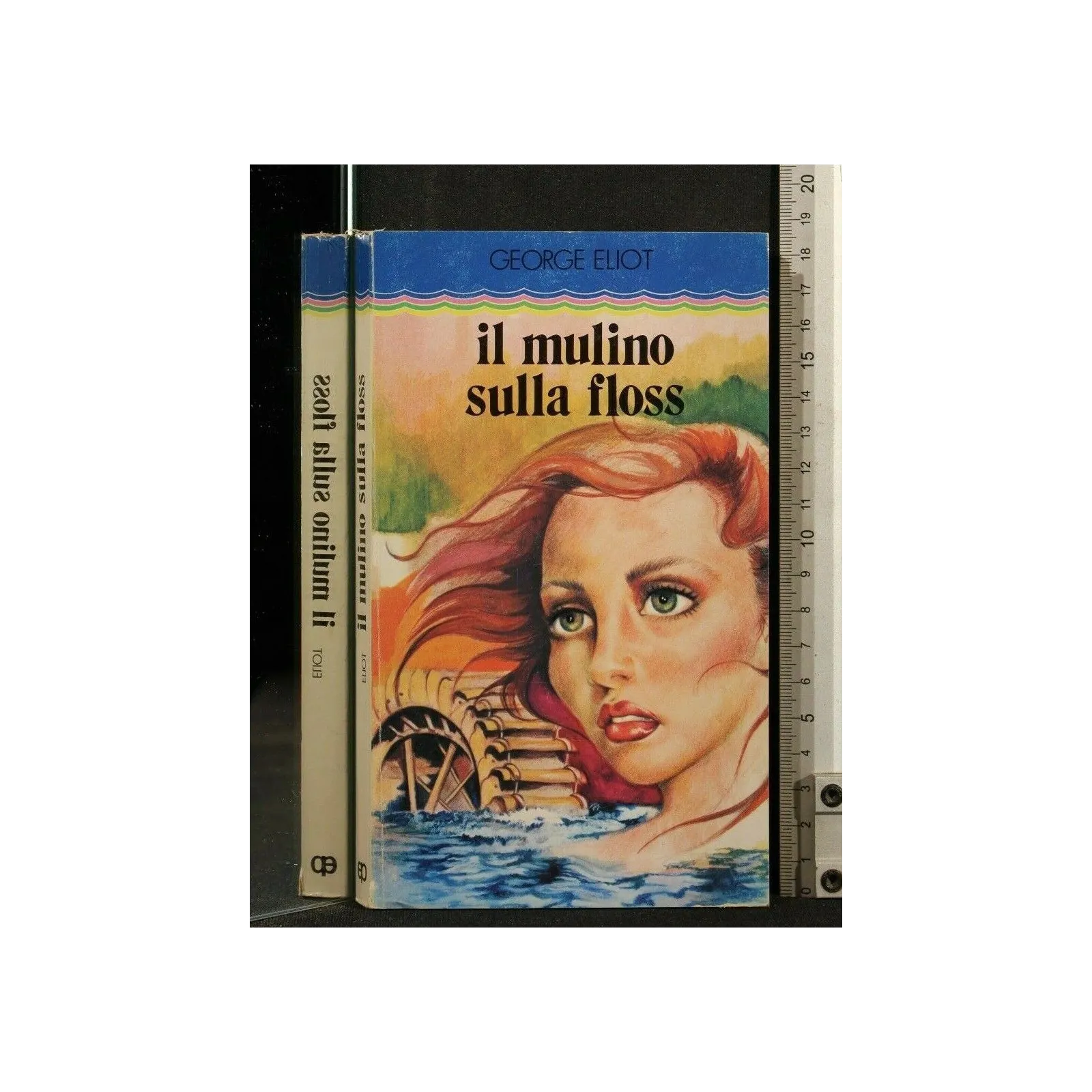 IL MULINO SULLA FLOSS