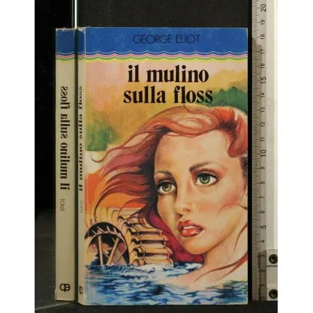 IL MULINO SULLA FLOSS