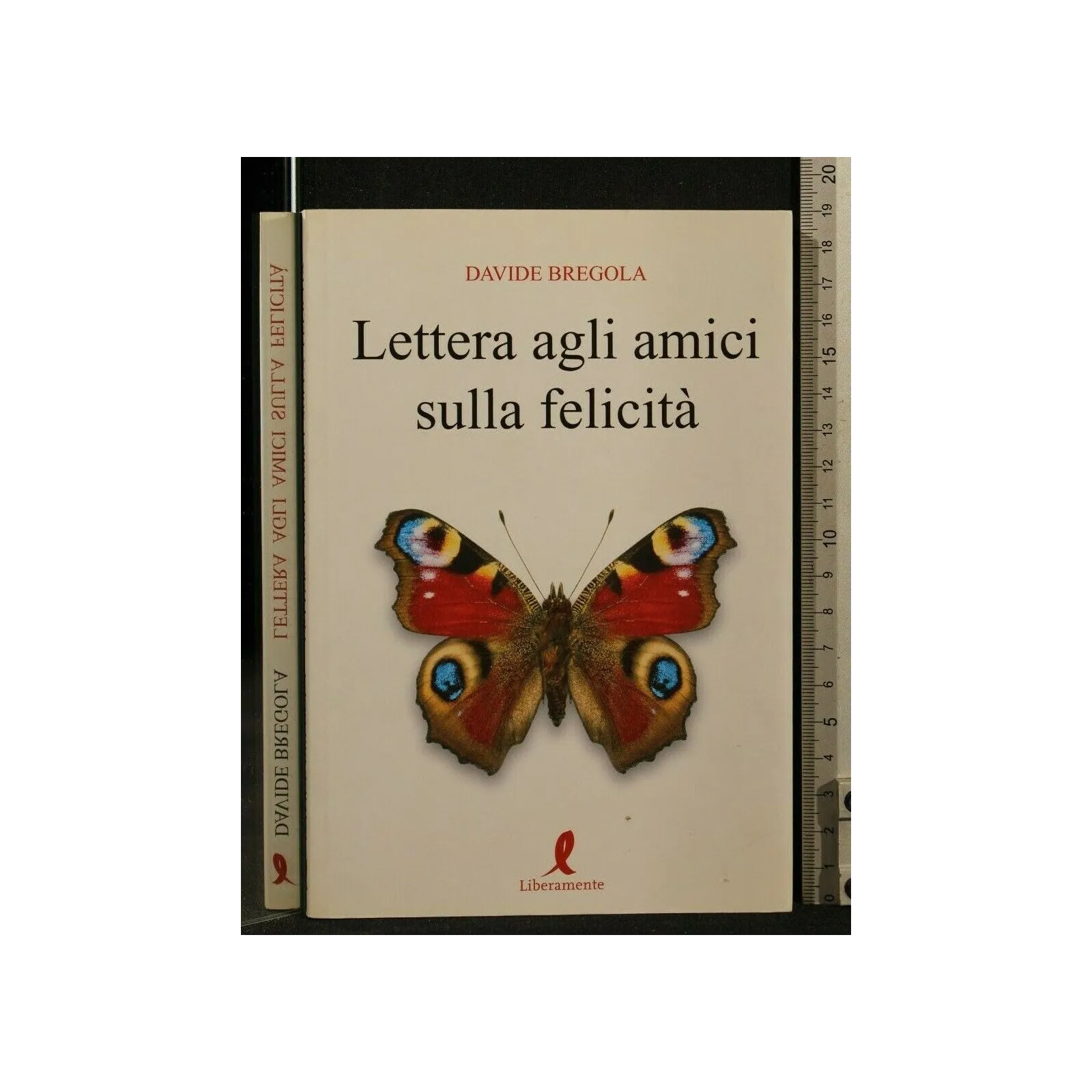 LETTERA AGLI AMICI SULLA FELICITA'