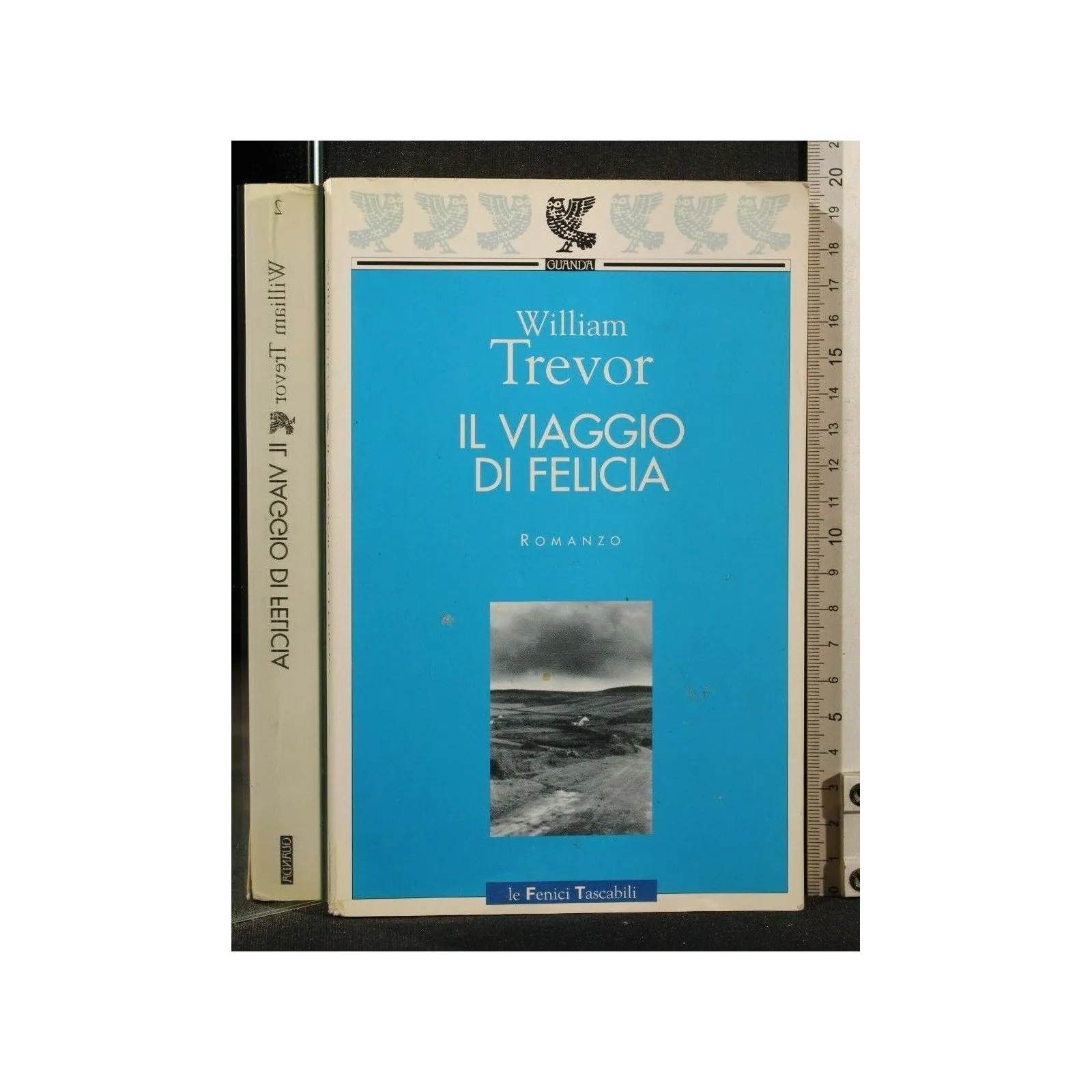 IL VIAGGIO DE FELICIA