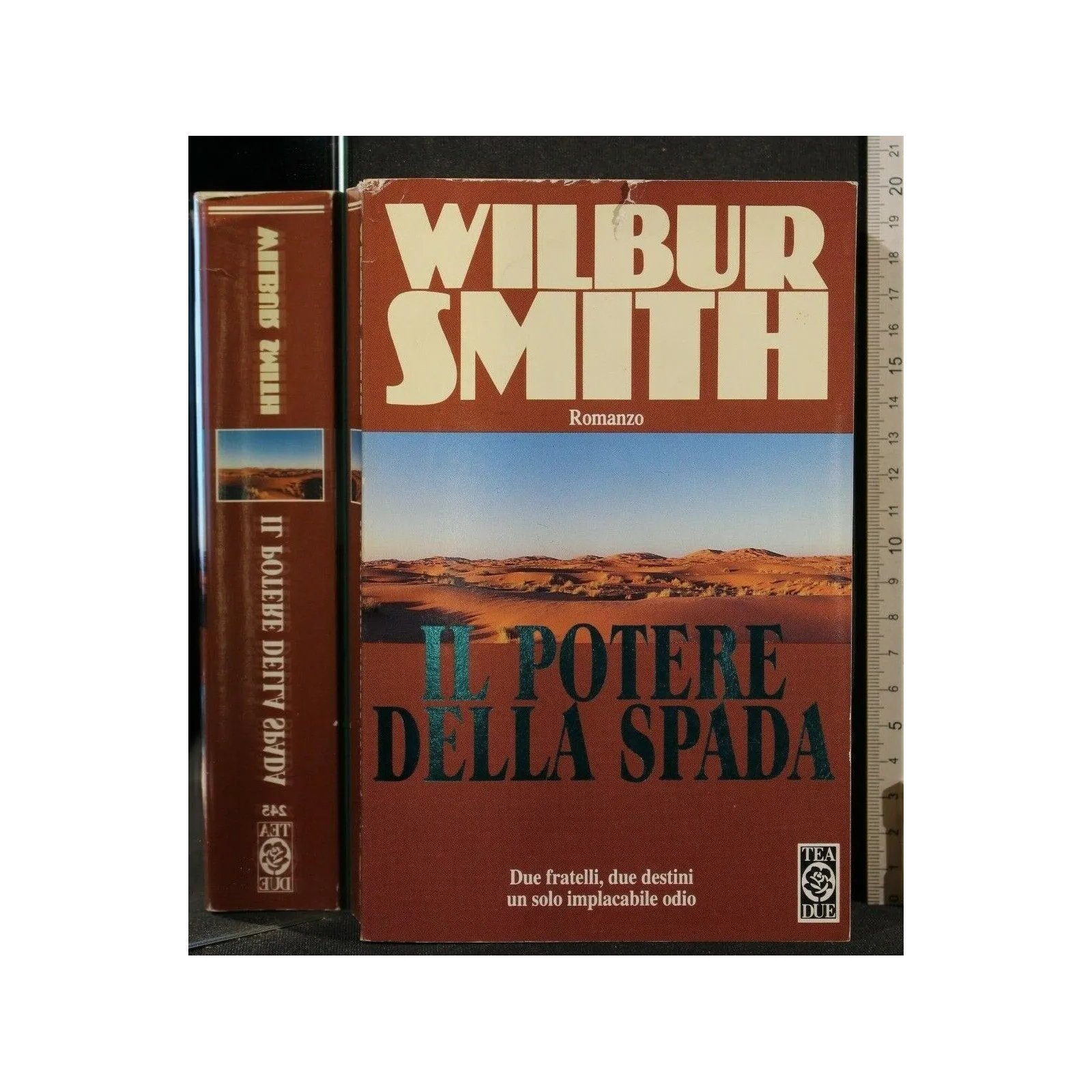 IL POTERE DELLA SPADA