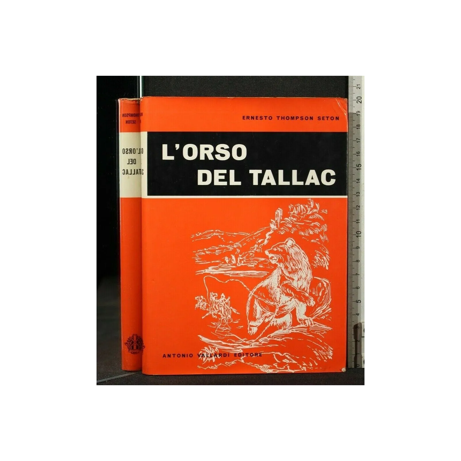 L'ORSO DEL TALLAC