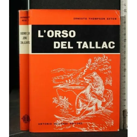 L'ORSO DEL TALLAC