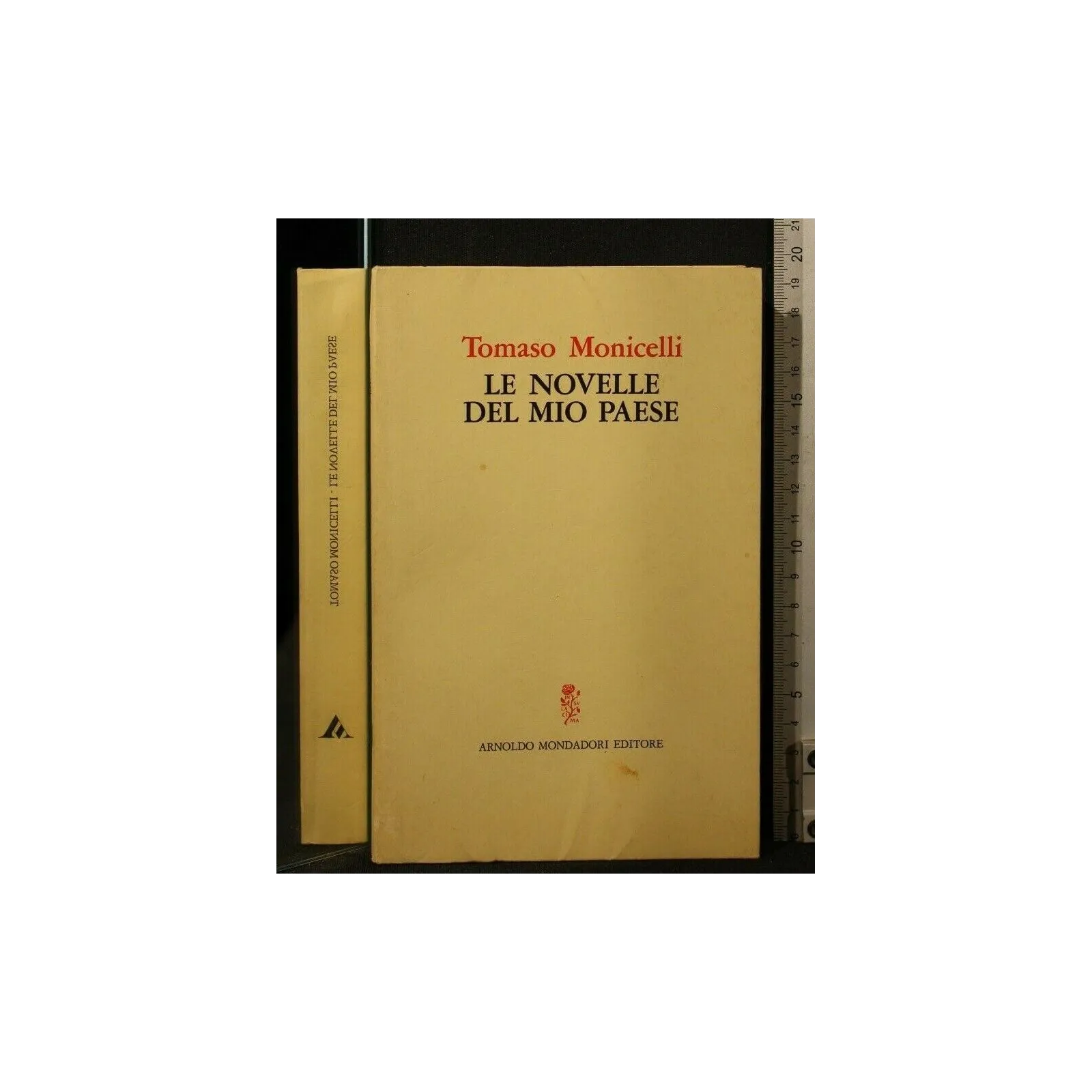 LE NOVELLE DEL MIO PAESE