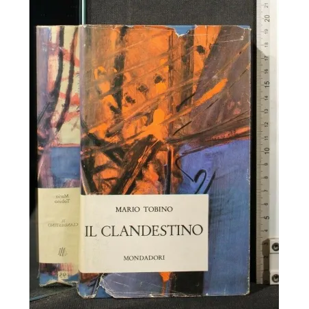 IL CLANDESTINO