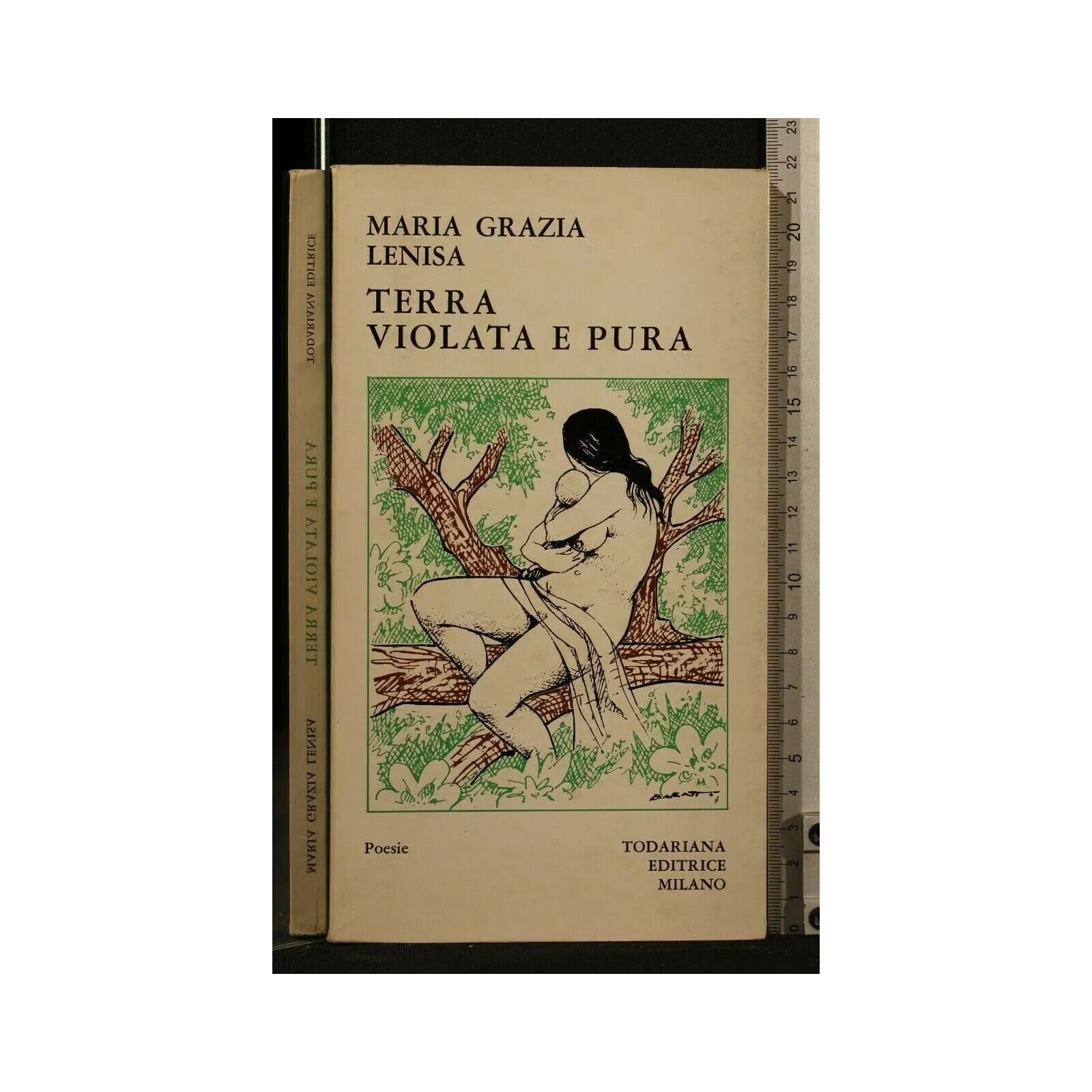 TERRA VIOLATA E PURA