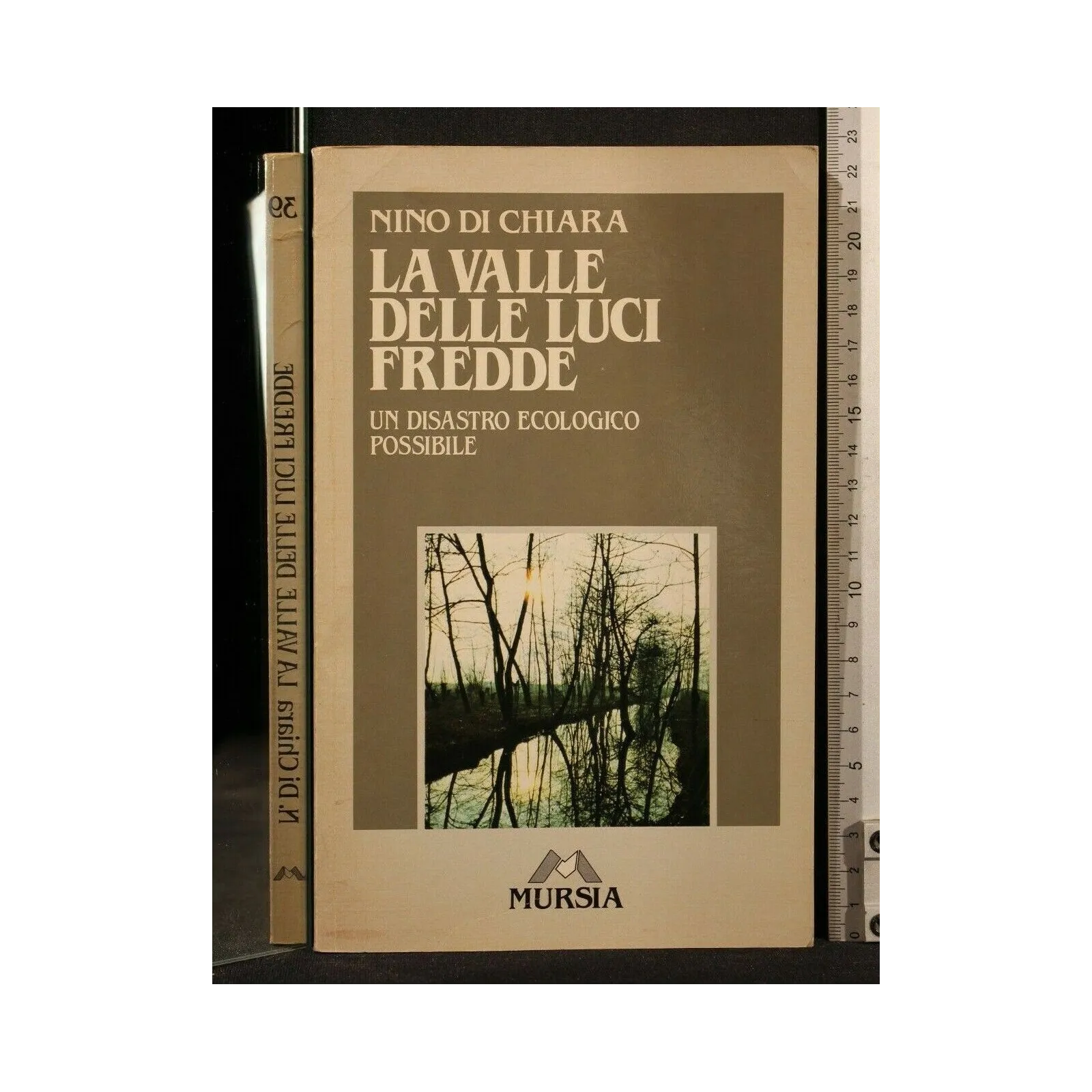 LA VALLE DELLE LUCI FREDDE