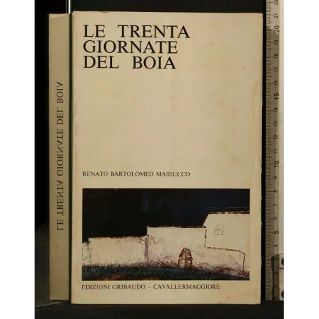 LE TRENTA GIORNATE DEL BOIA