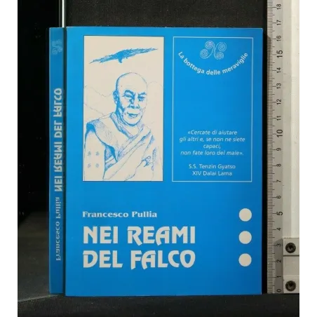 NEI REAMI DEL FALCO