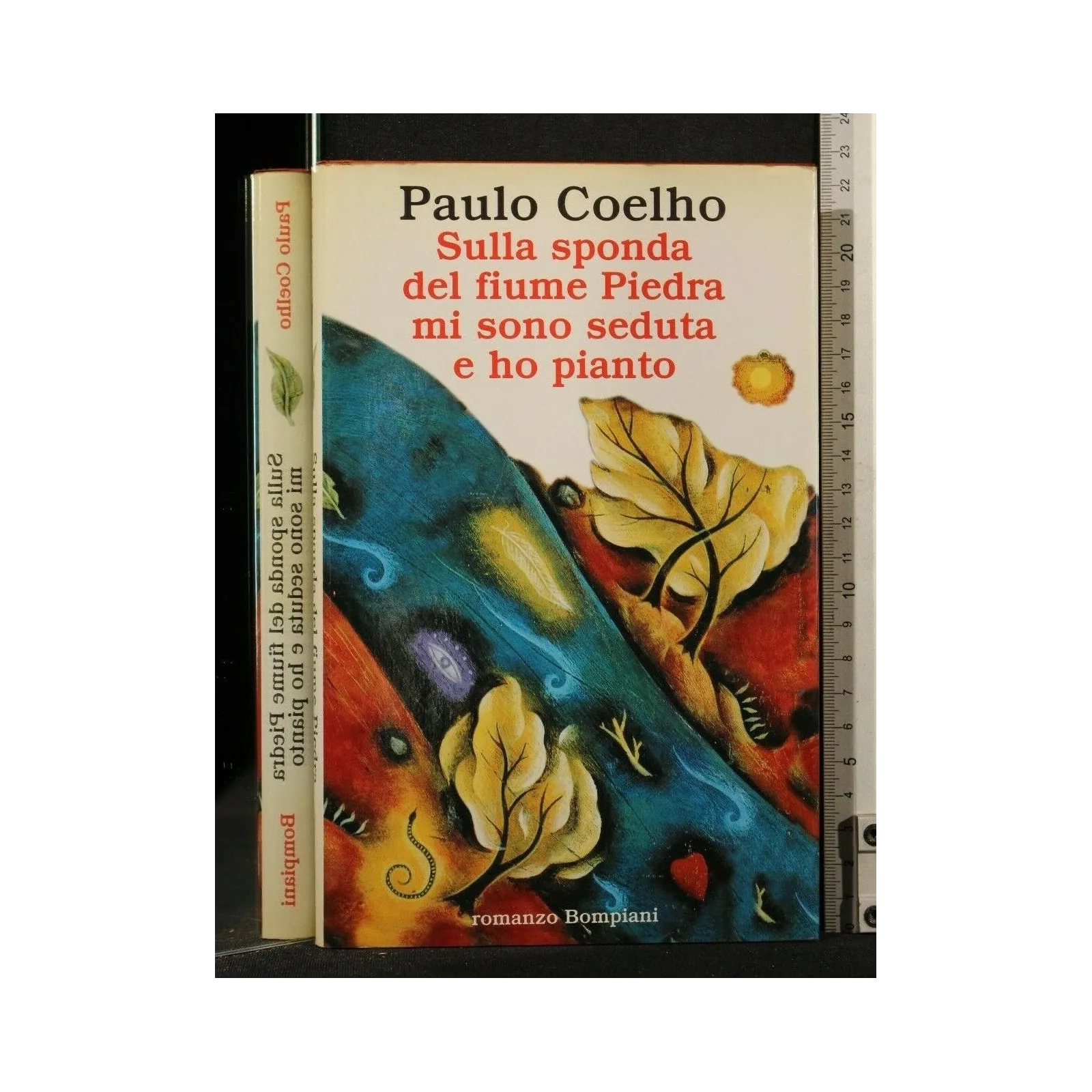 SULLA SPONDA DEL FIUME PIEDRA MI SONO SEDUTA E HO PIANTO