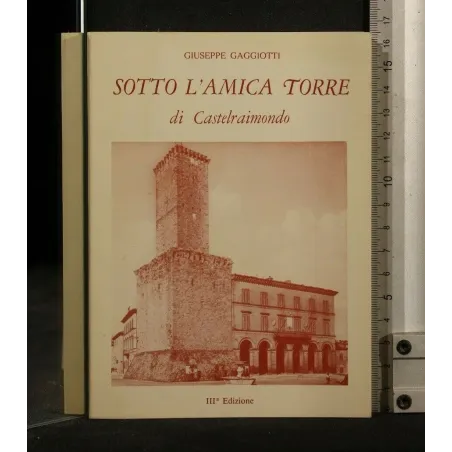 SOTTO L'AMICA TORRE DI CASTELRAIMONDO