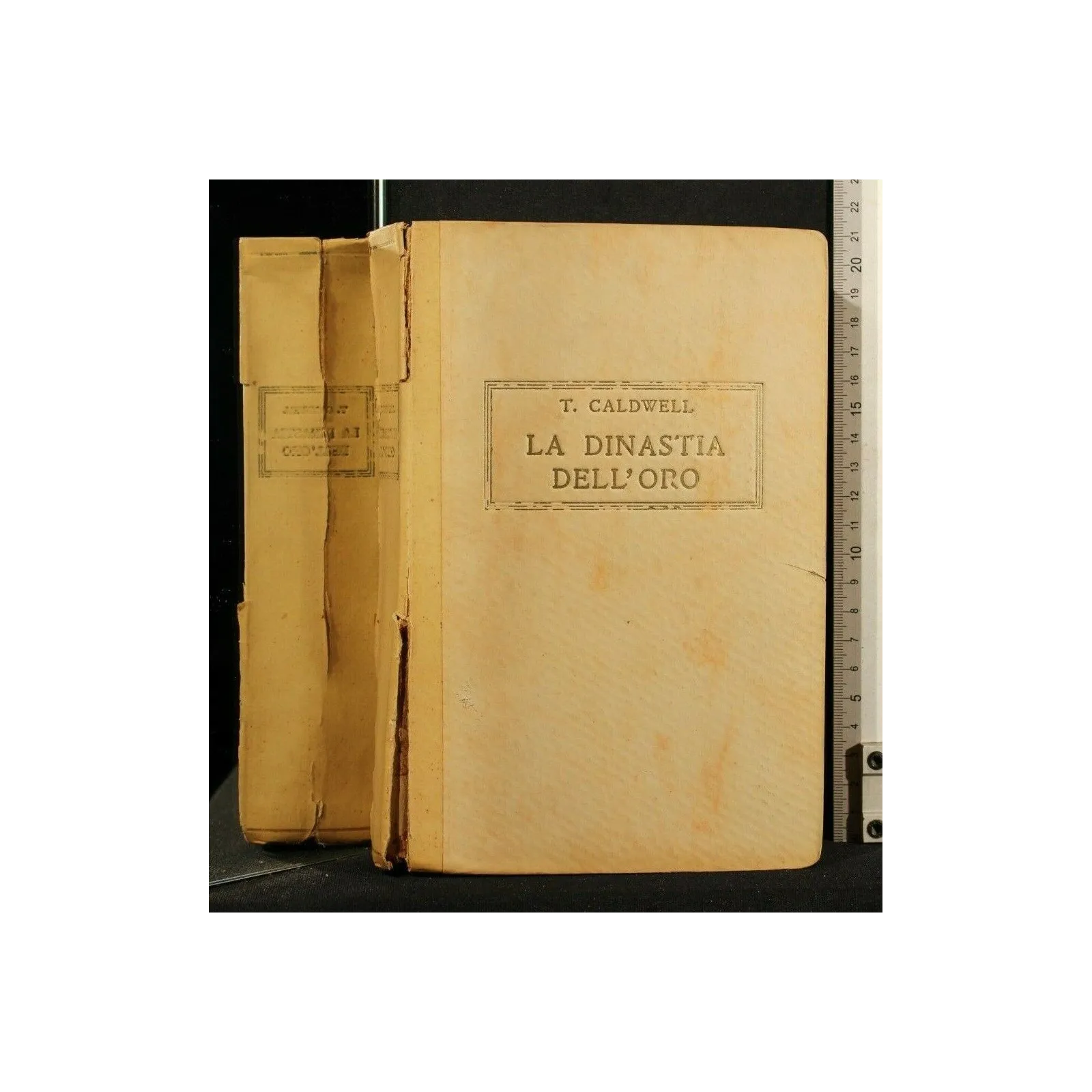 LA DINASTIA DELL'ORO