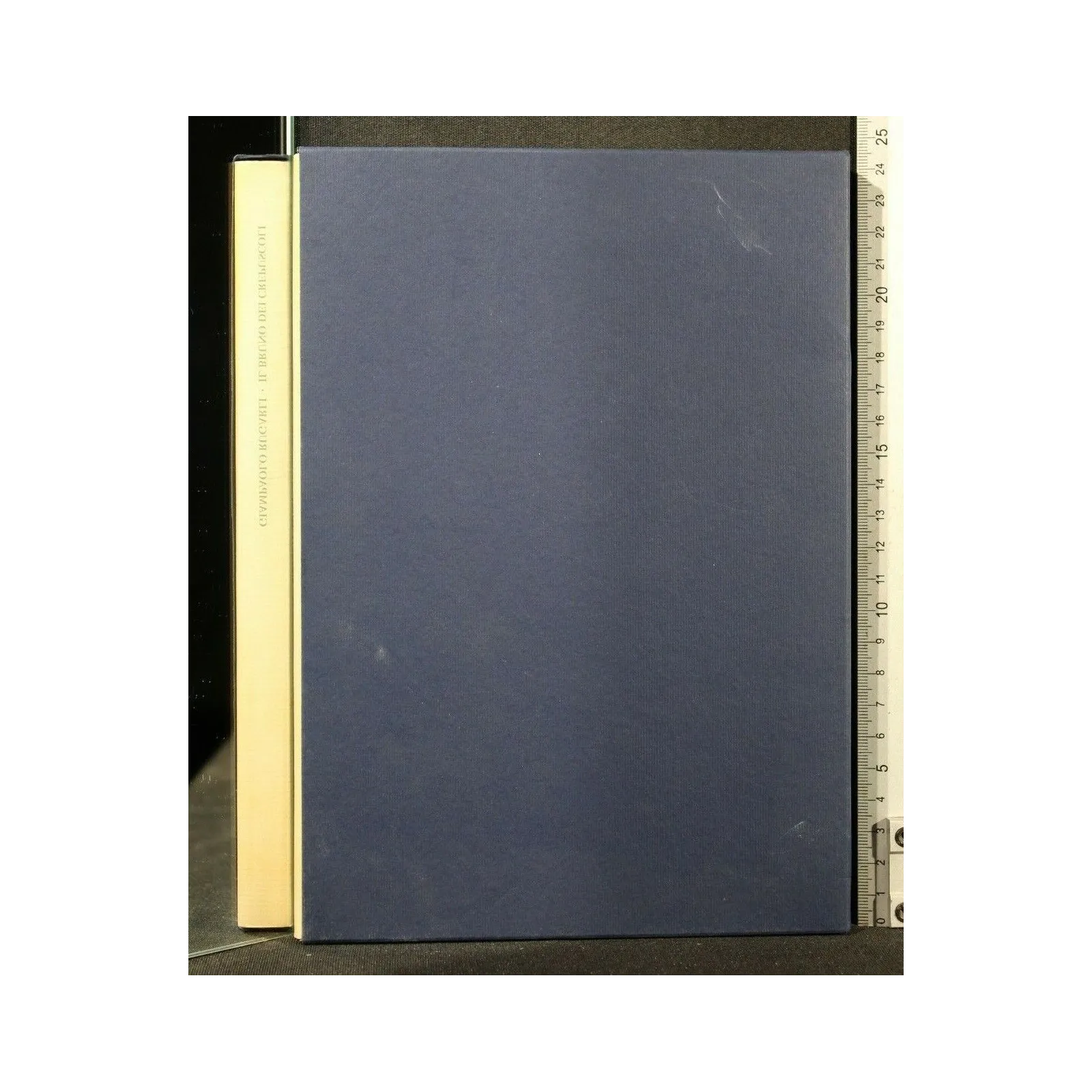 IL BRUNO DEI CREPUSCOLI (I NON AMORI DI GIACOMO LEOPARDI)