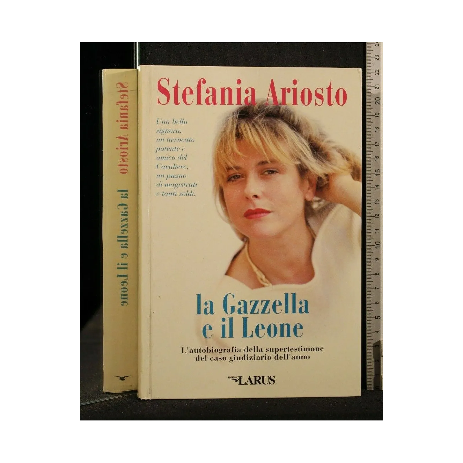 LA GAZZELLA E IL LEONE