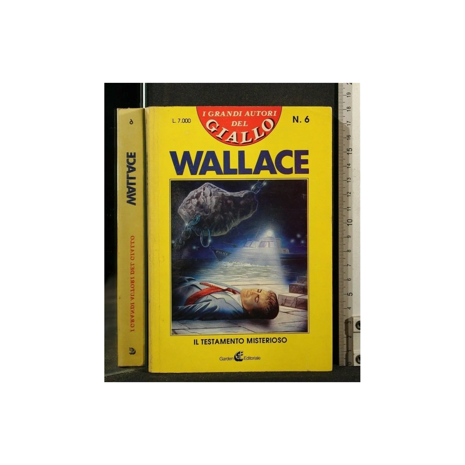 IL TESTAMENTO MISTERIOSO