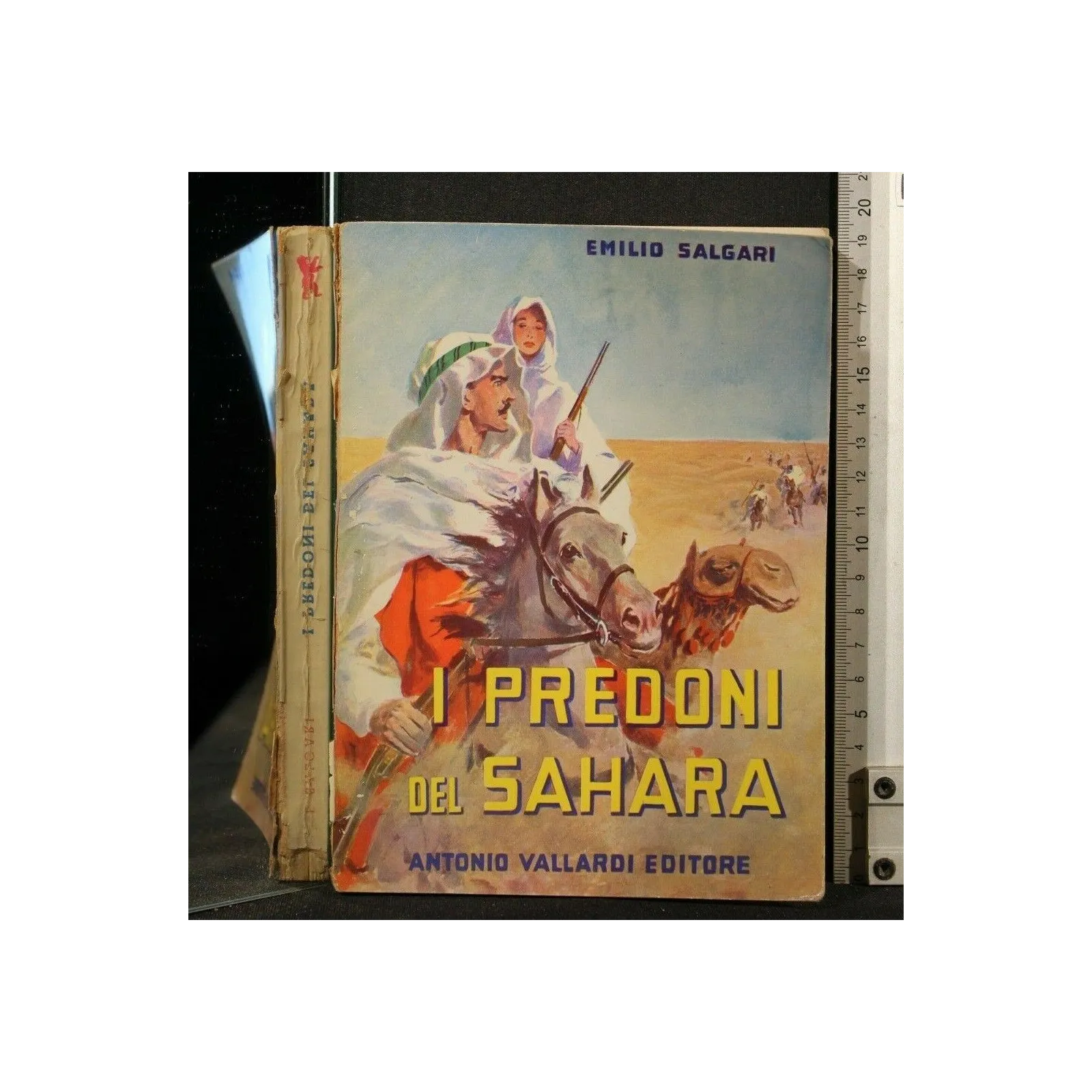 I PREDONI DEL SAHARA