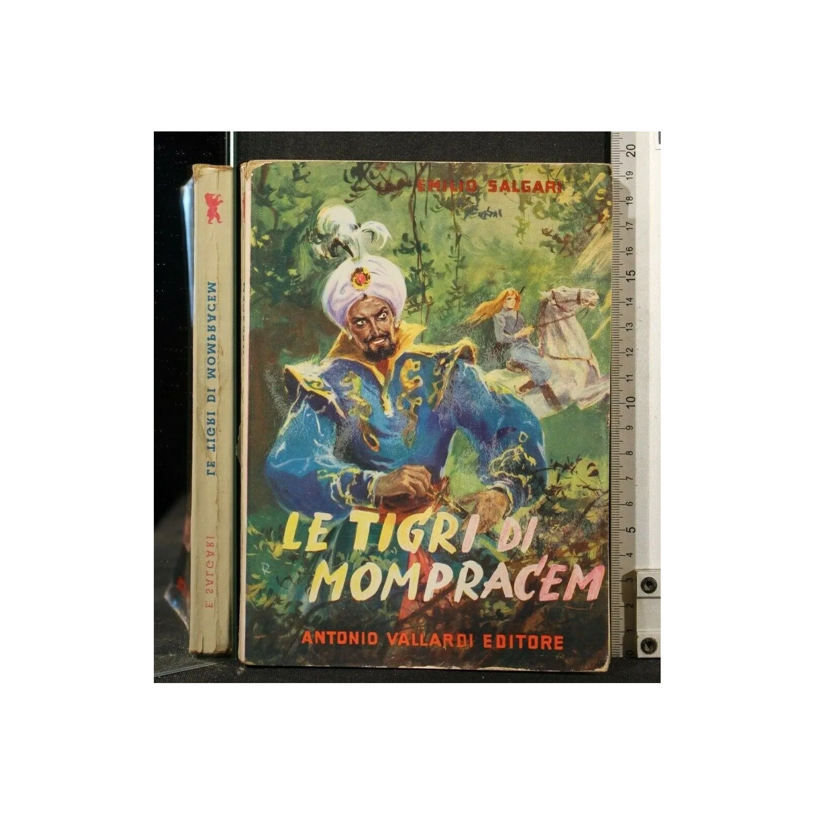 LE TIGRI DI MOMPRACEM