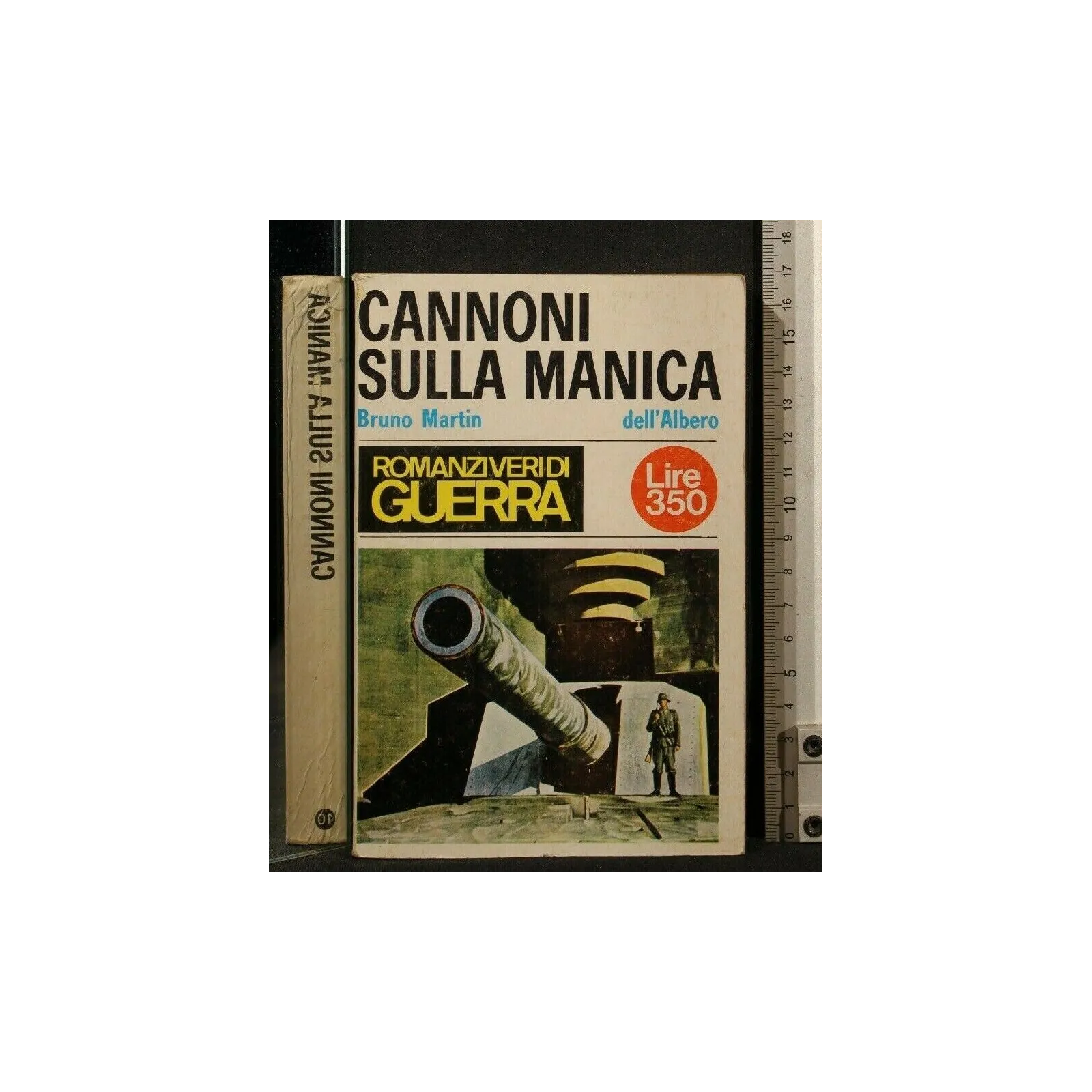 CANNONI SULLA MANICA