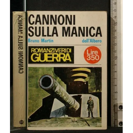 CANNONI SULLA MANICA