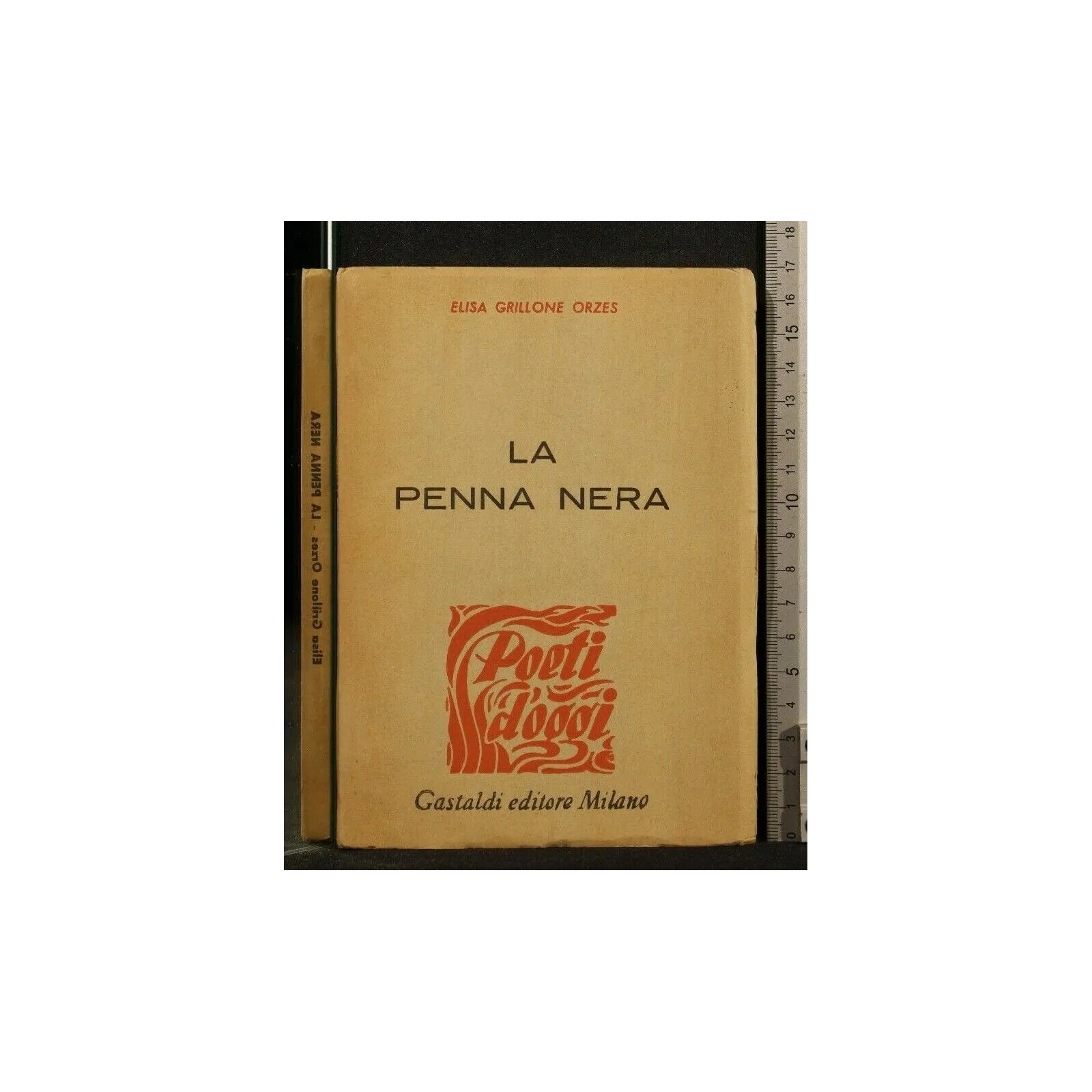 LA PENNA NERA