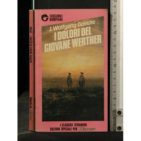 I DOLORI DEL GIOVANE WERTHER UN TITOLO DESCRITTIVO AIUTA GLI