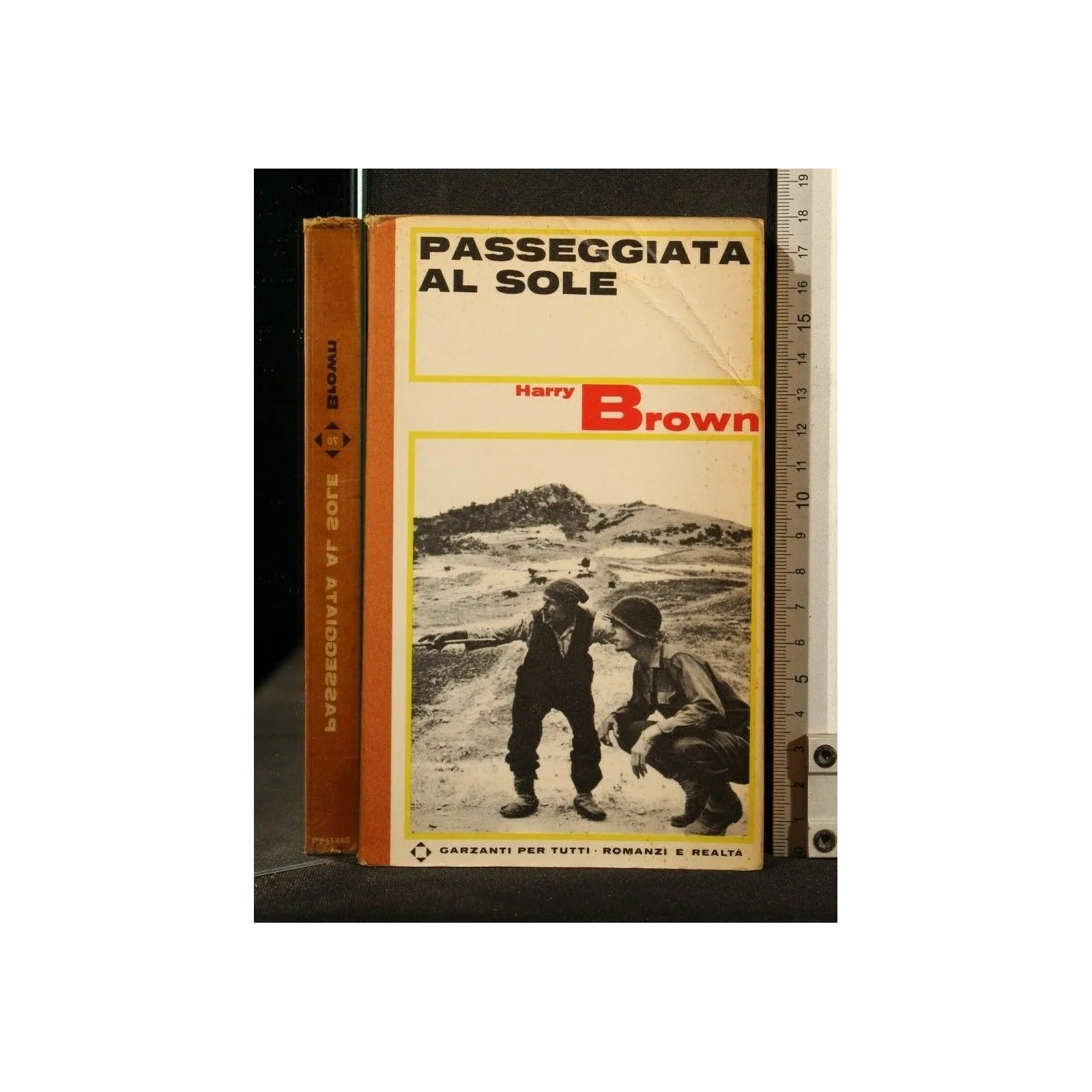 PASSEGGIATA AL SOLE UN TITOLO DESCRITTIVO AIUTA GLI ACQUIRENTI A