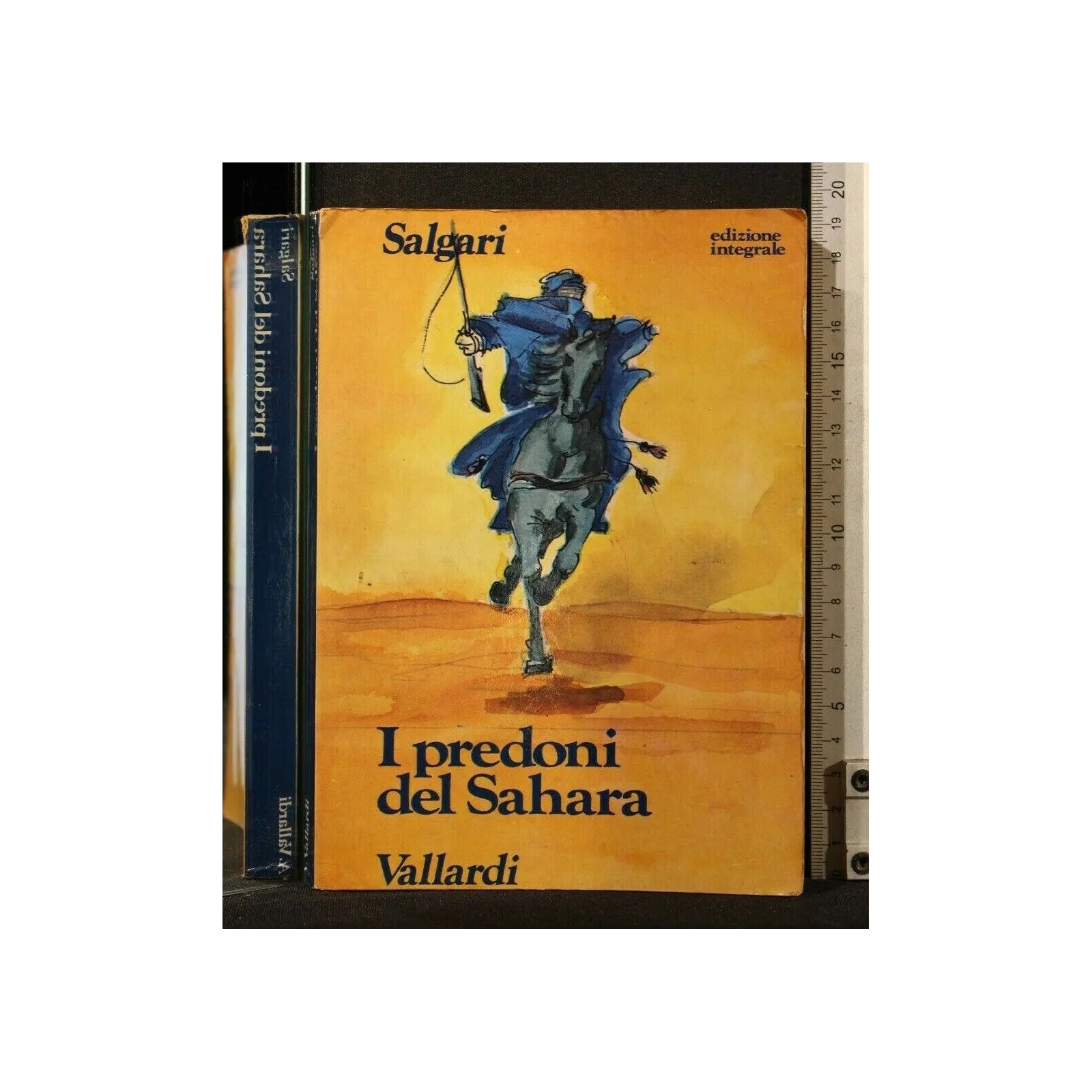 I PREDONI DEL SAHARA