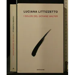 I DOLORI DEL GIOVANE WALTER