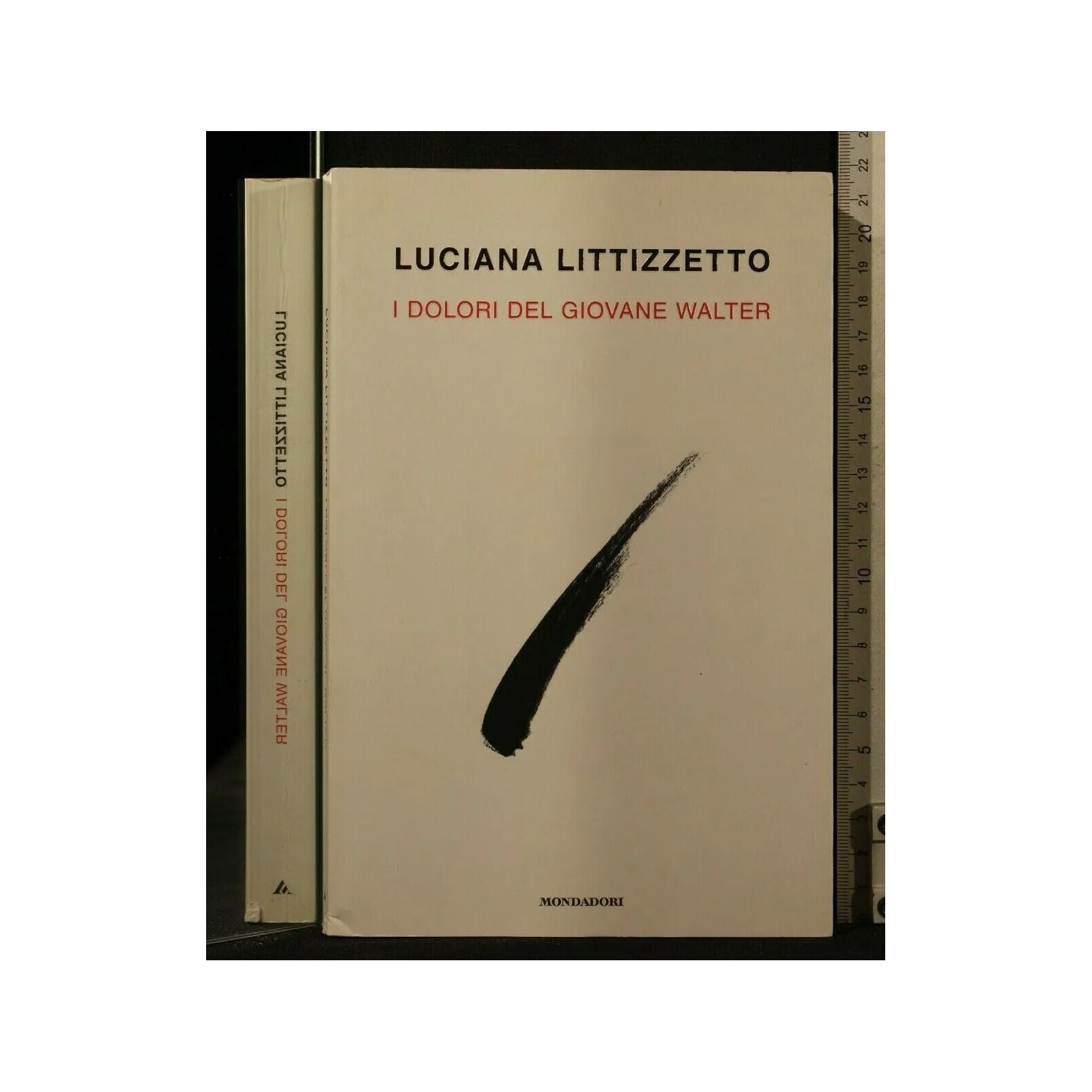 I DOLORI DEL GIOVANE WALTER