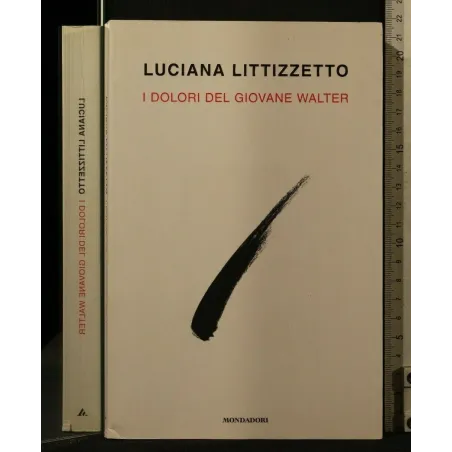 I DOLORI DEL GIOVANE WALTER