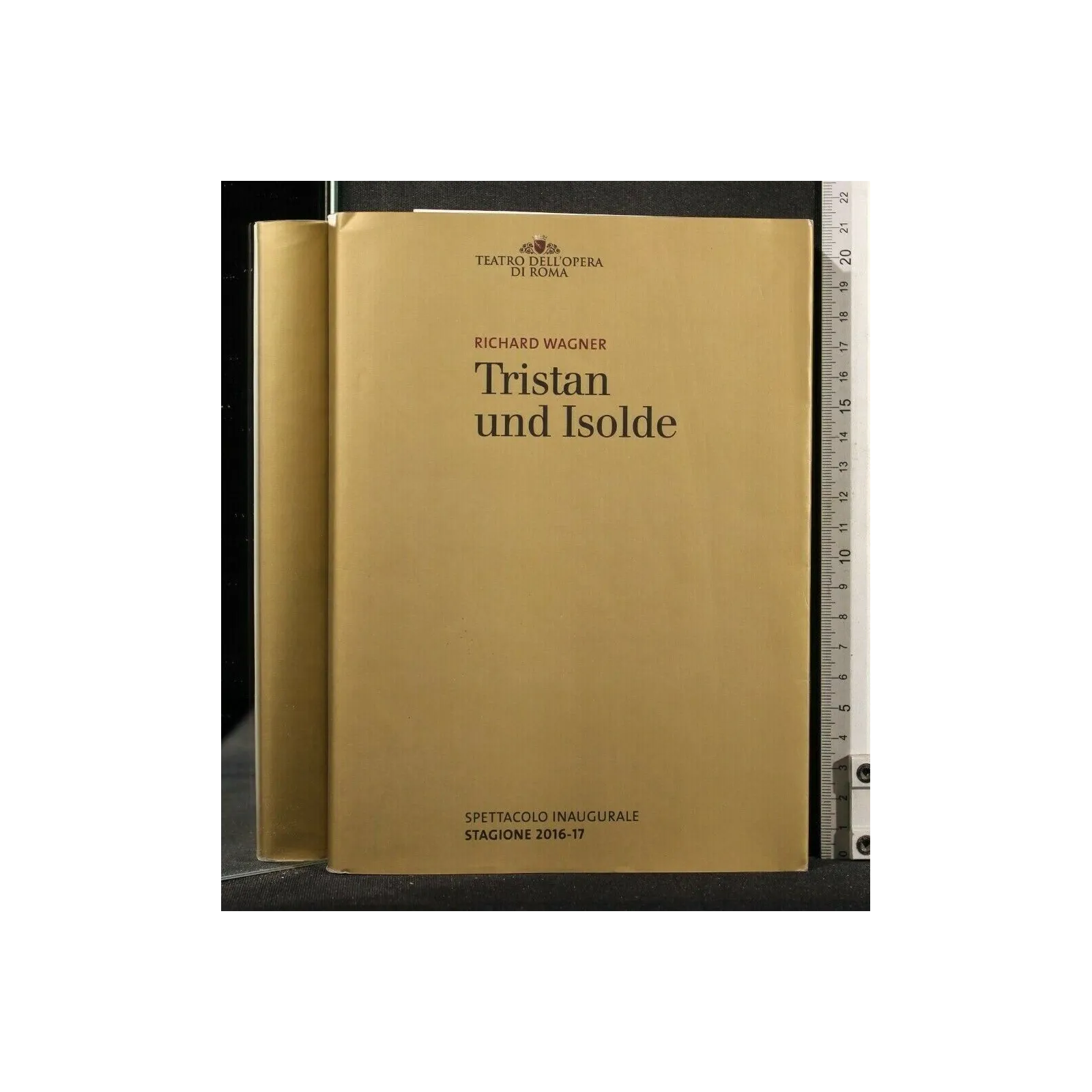 TRISTAN UND ISOLDE
