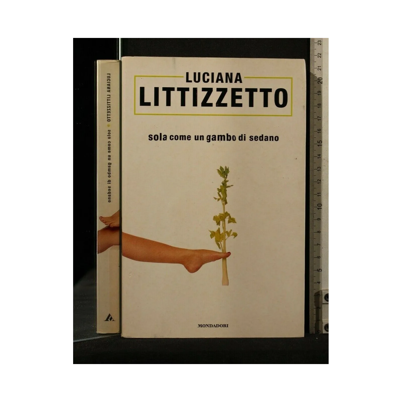SOLA COME UN GAMBO DI SEDANO