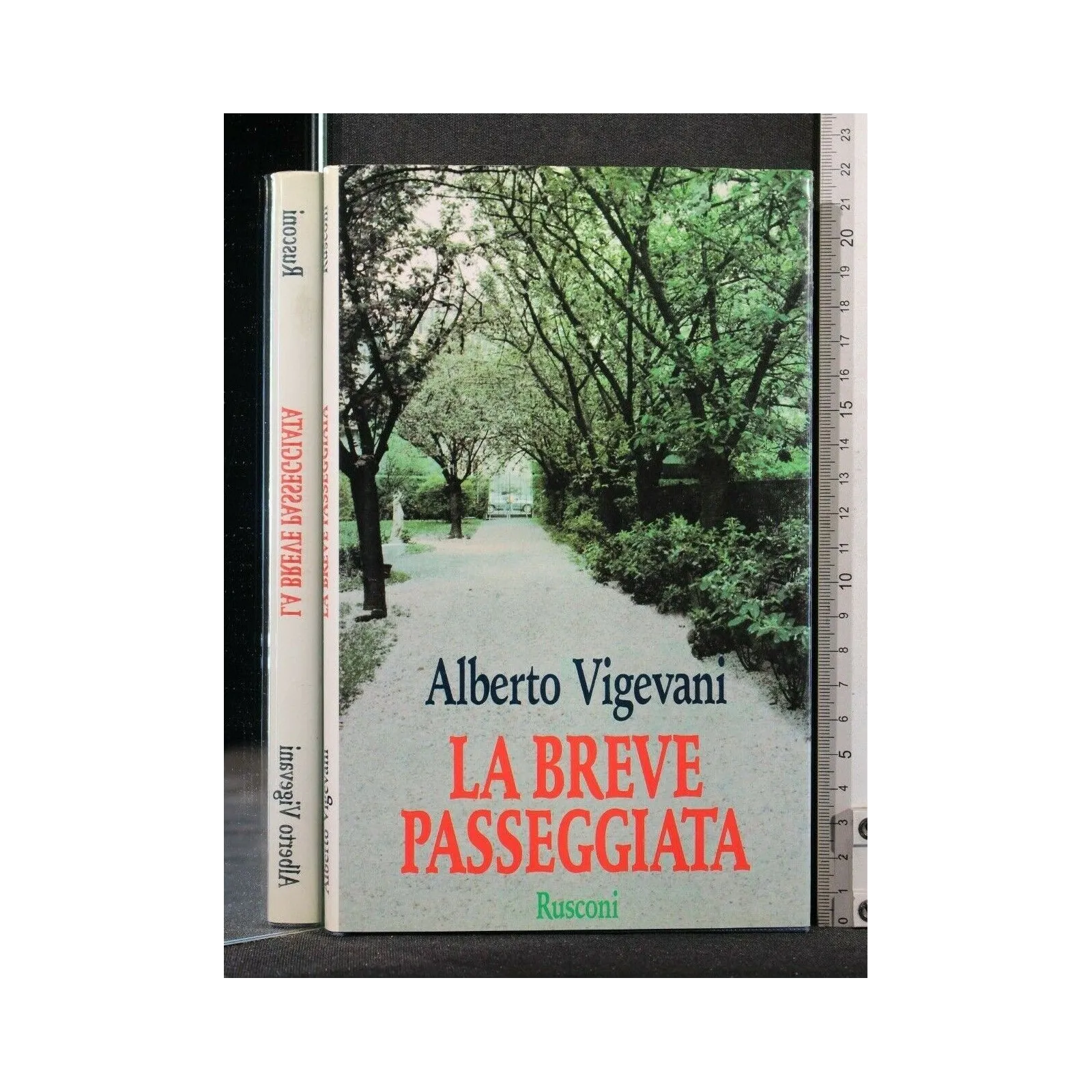 LA BREVE PASSEGGIATA