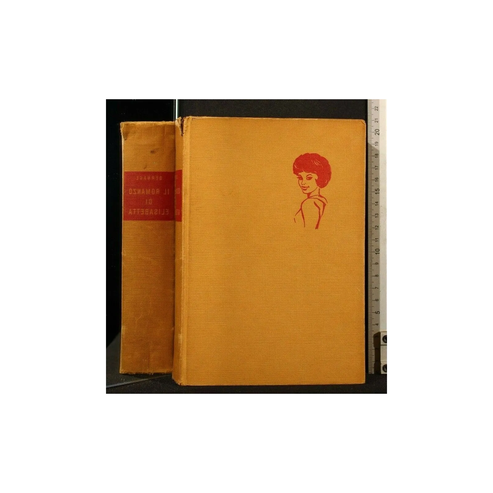 IL ROMANZO DI ELISABETTA