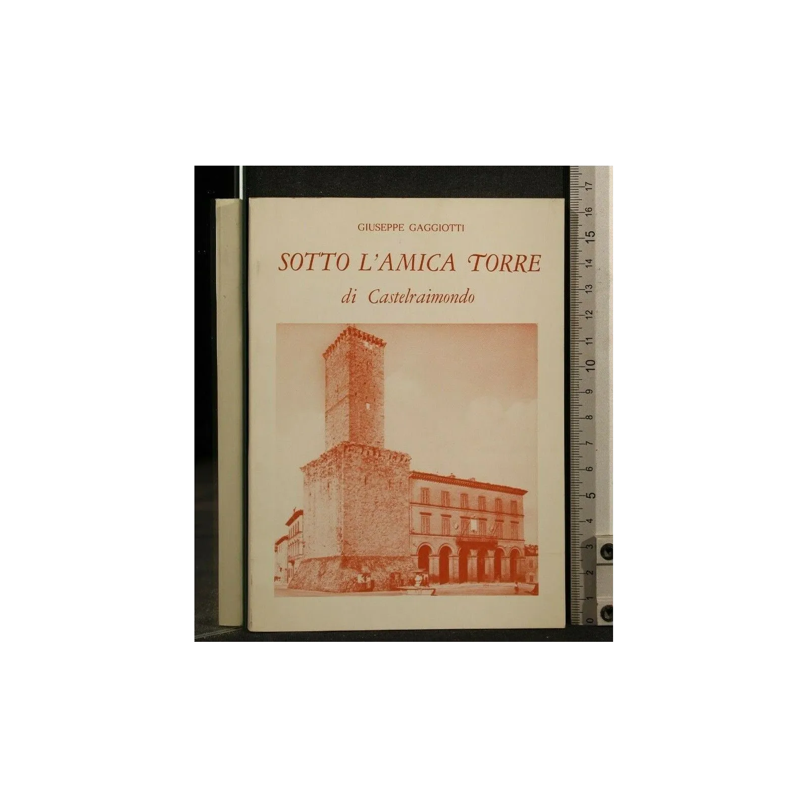 SOTTO L'AMICA TORRE DI CASTELRAIMONDO