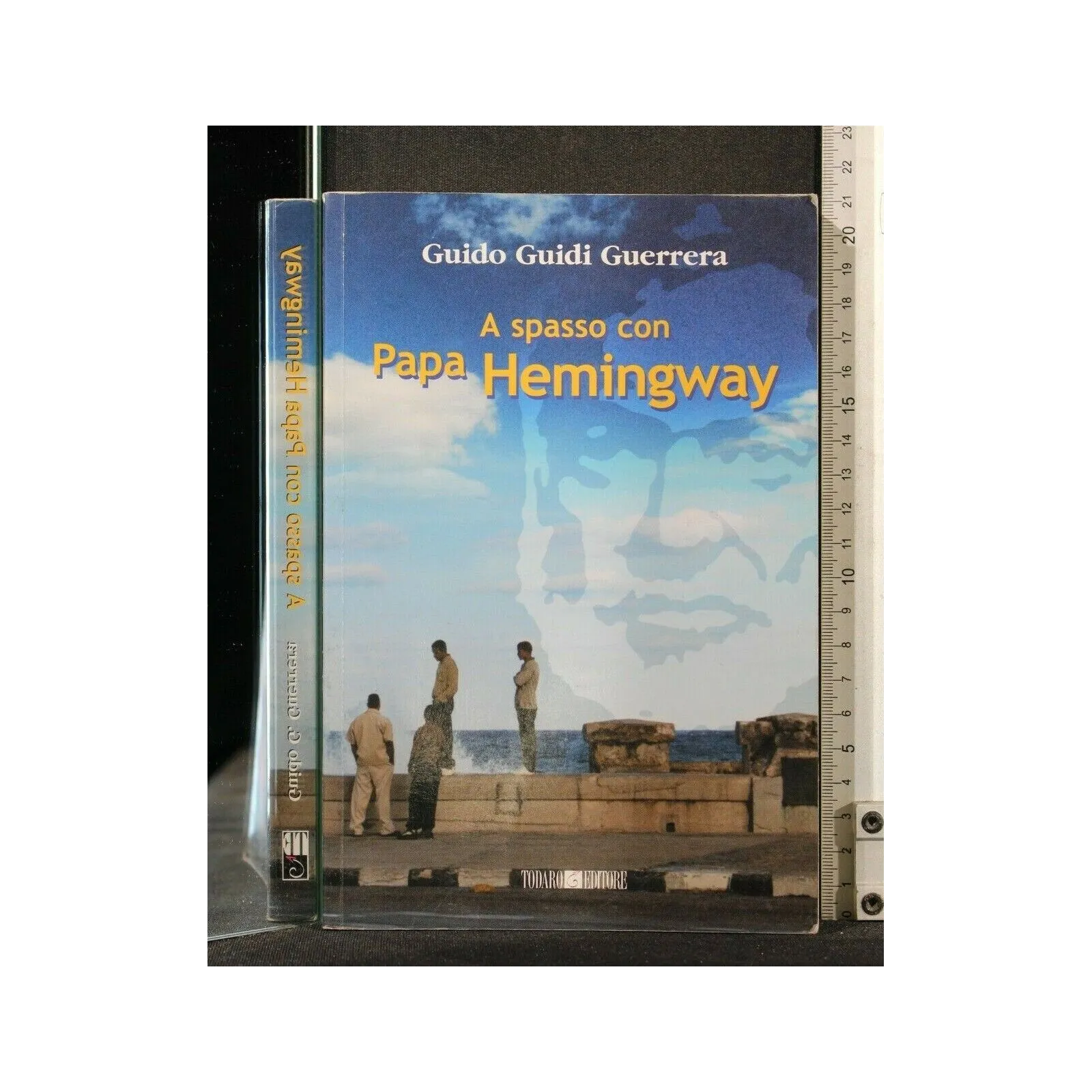 A SPASSO CON PAPA HEMINWAY