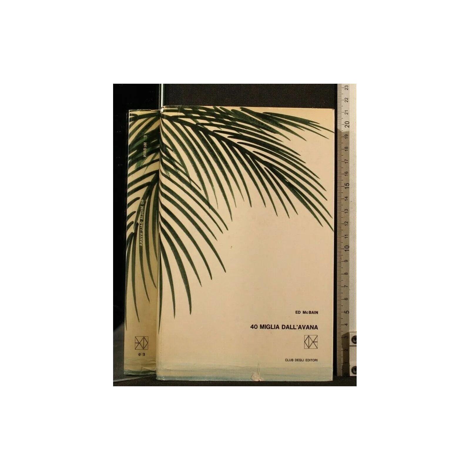 40 MIGLIA DALL'AVANA