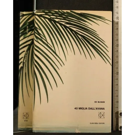 40 MIGLIA DALL'AVANA