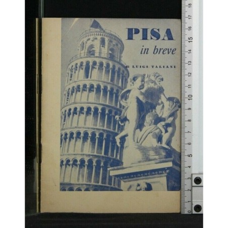 PISA IN BREVE