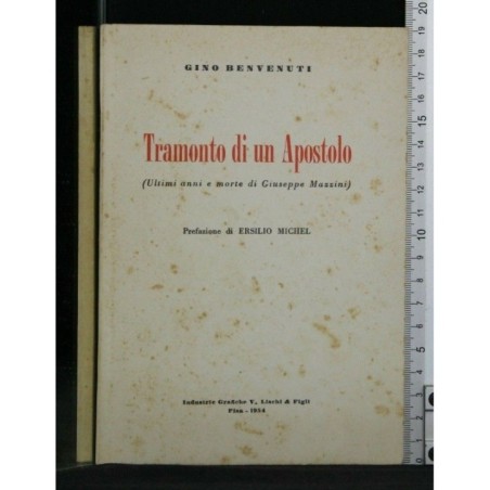 TRAMONTO DI UN APOSTOLO (ULTIMI ANNI E MORTE DI GIUSEPPE