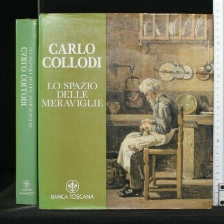 CARLO COLLODO LO SPAZIO DELLE MERAVIGLIE