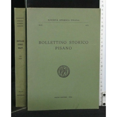 BOLLETTINO STORICO PISANO 1973