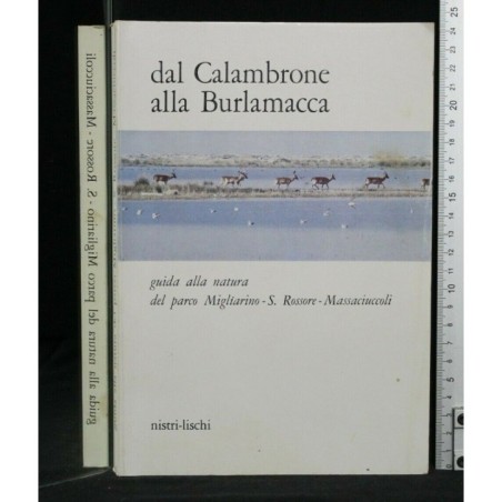 DAL CALAMBRONE ALLA BURLAMACCA