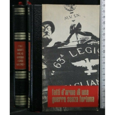 FATTI D'ARME DI UNA GUERRA SENZA FORTUNA
