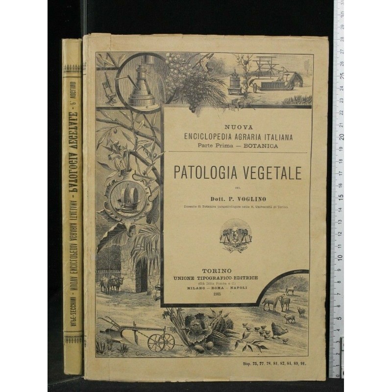 PATALOGIA VEGETALE