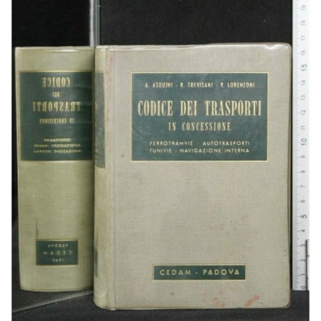 CODICE DEI TRASPORTI IN CONCESSIONE