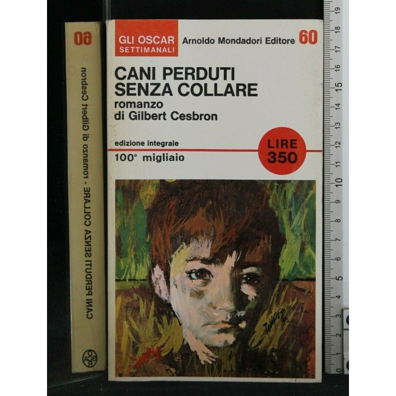 CANI PERDUTI SENZA COLLARE