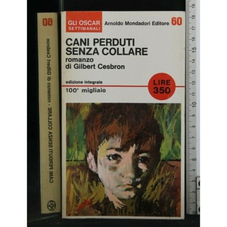 CANI PERDUTI SENZA COLLARE